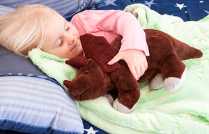 Girl dinosaur green glow in the dark blanket. Perfect for boys or girls of every age. soft plush blanket. T-Rex, Tryceratops, Dino, Dinos, dinosaurs, toddler, toddler blanket,  unicorns, rocket ships, outer space, soccer, basket ball, moon, stars, glow 
