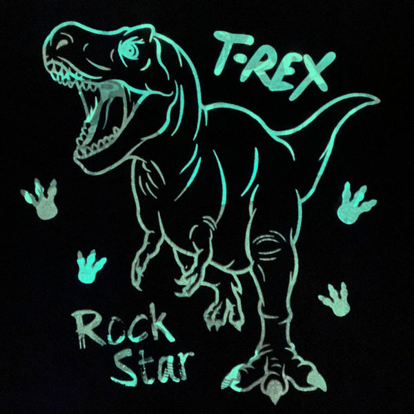 NEW! Glow in the Dark Long Sleeve Blue Dino Pajamas - Snug Fit