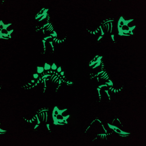 Green Glow in the Dark Dinosaur Blanket