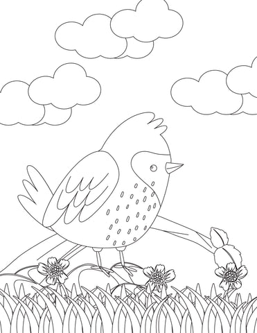 Free - Bird Coloring Book 15 pages